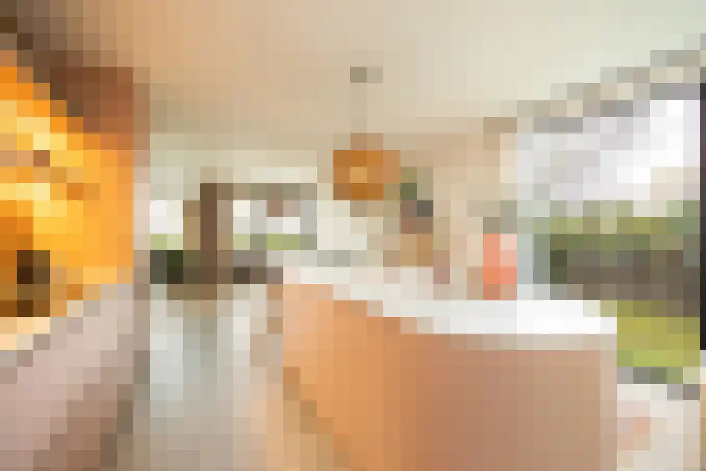Via Regia 133 Maastricht thumbnail 5