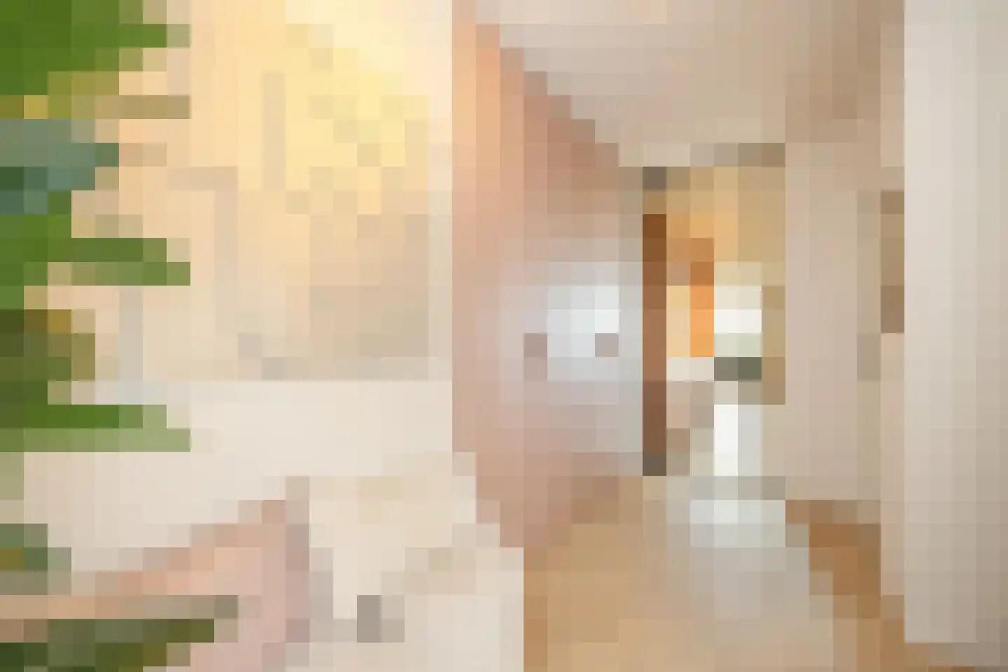 Via Regia 133 Maastricht thumbnail 8