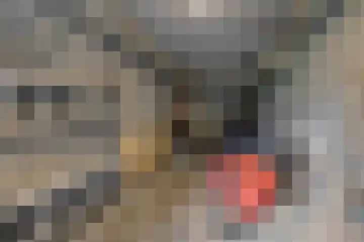 Via Regia 134 B Maastricht thumbnail 19