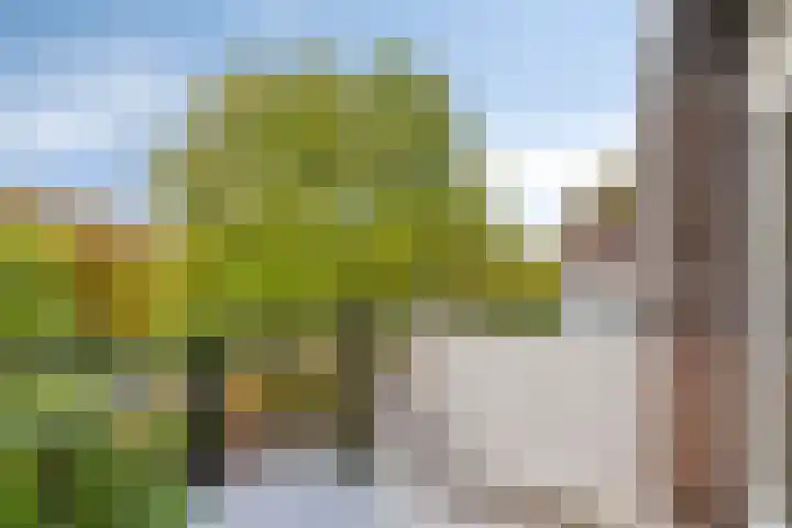 Via Regia 134 B Maastricht thumbnail 8