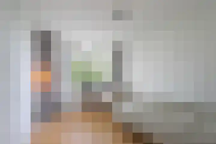 Via Regia 137 B Maastricht thumbnail 13