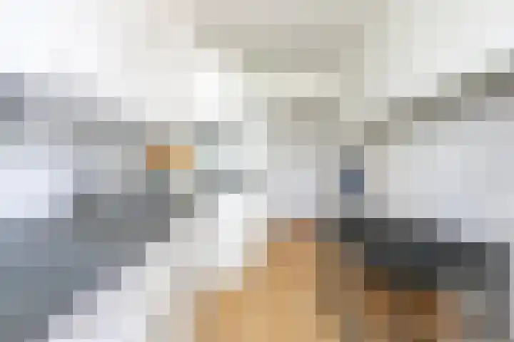 Via Regia 137 B Maastricht thumbnail 7