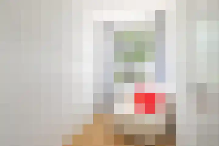 Via Regia 137 B Maastricht thumbnail 9