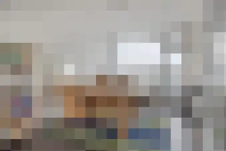 Via Regia 141 B Maastricht thumbnail 5