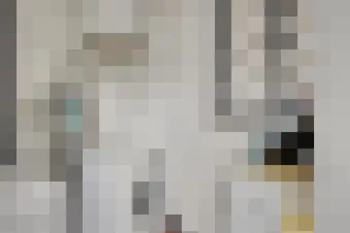 Via Regia 141 B Maastricht thumbnail 8