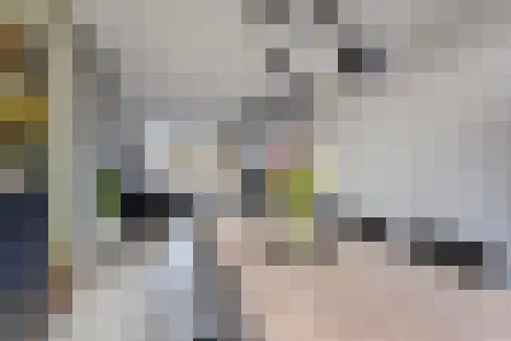 Via Regia 141 D Maastricht thumbnail 13