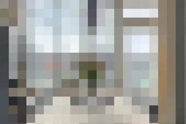 Via Regia 141 D Maastricht thumbnail 14