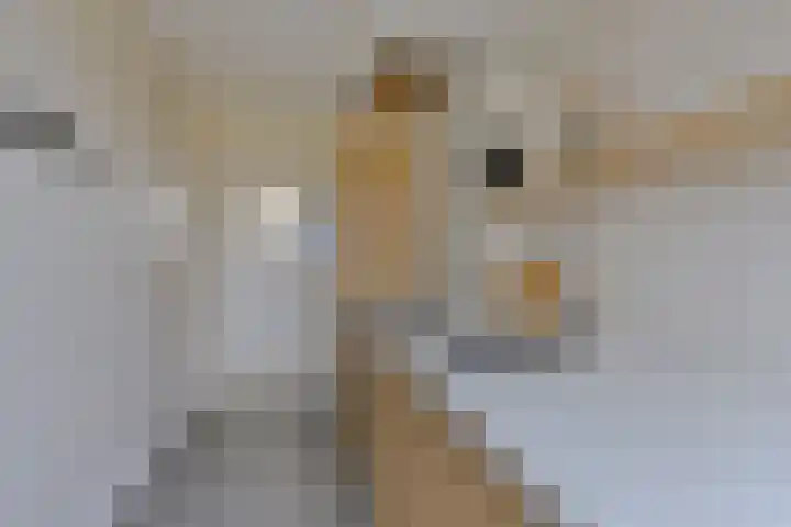Via Regia 141 D Maastricht thumbnail 16