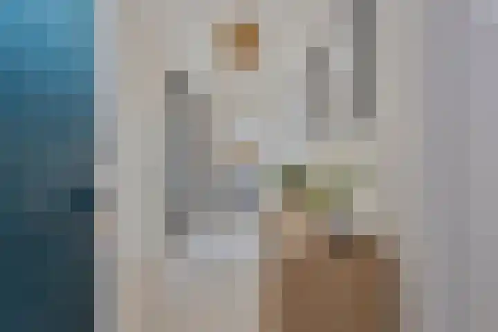Via Regia 141 D Maastricht thumbnail 7
