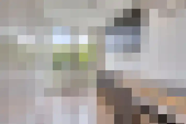 Via Regia 143 D Maastricht thumbnail 10