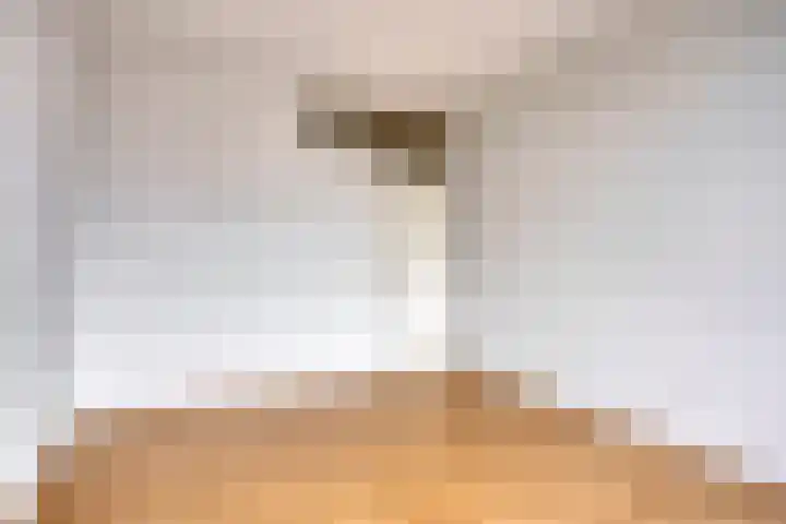 Via Regia 143 D Maastricht thumbnail 13
