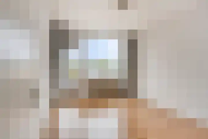 Via Regia 143 D Maastricht thumbnail 14