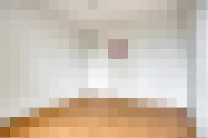Via Regia 143 D Maastricht thumbnail 17