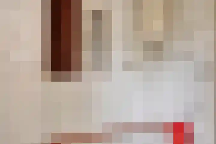 Via Regia 143 D Maastricht thumbnail 20