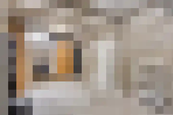 Via Regia 143 D Maastricht thumbnail 21