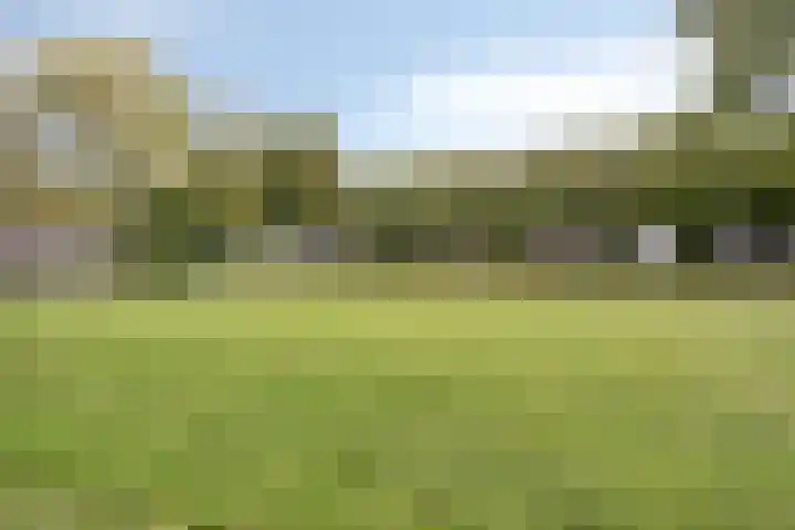 Via Regia 143 D Maastricht thumbnail 22