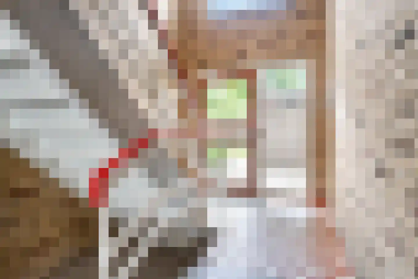 Via Regia 151 B Maastricht thumbnail 22