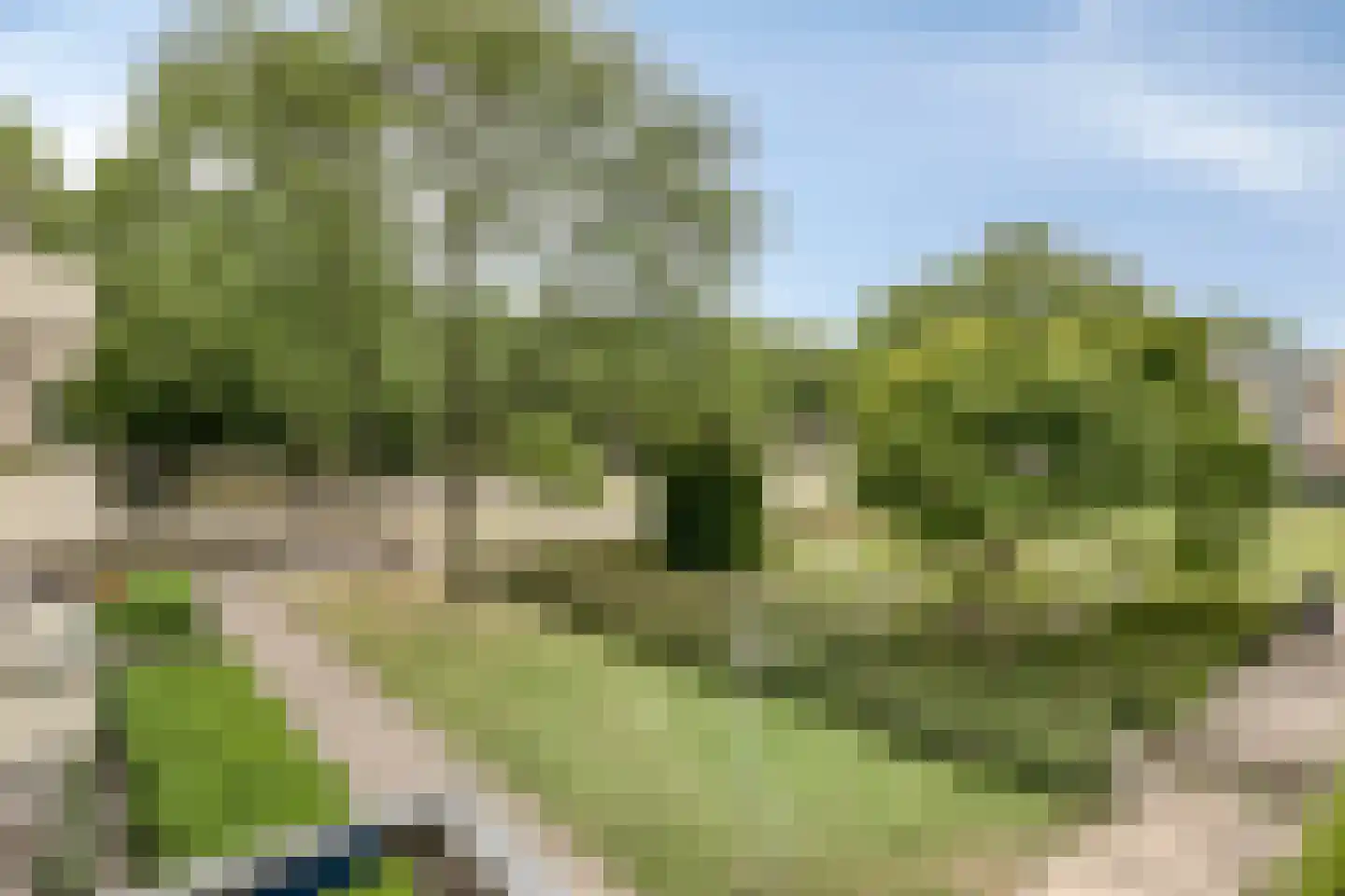 Via Regia 151 B Maastricht thumbnail 8