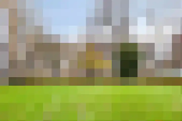 Via Regia 153 B Maastricht thumbnail 15