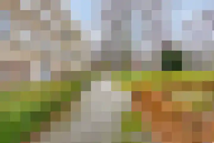 Via Regia 153 B Maastricht thumbnail 16