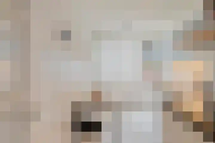 Via Regia 153 B Maastricht thumbnail 7