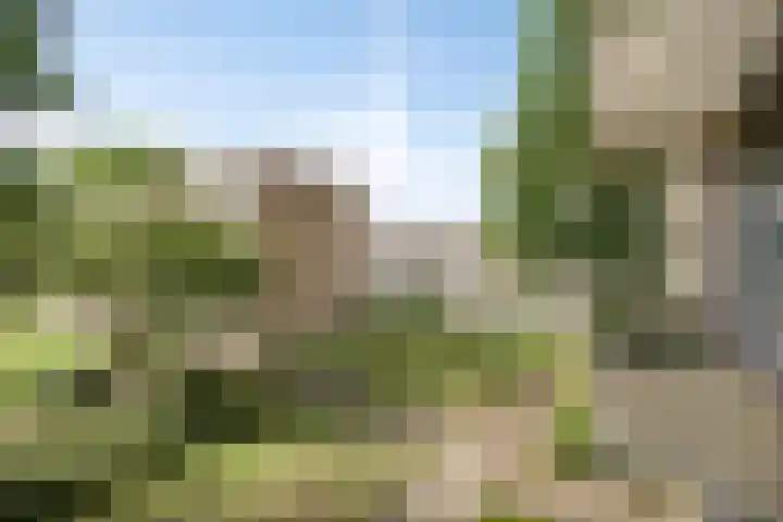 Via Regia 155 C Maastricht thumbnail 13