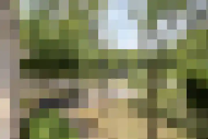 Via Regia 155 C Maastricht thumbnail 17