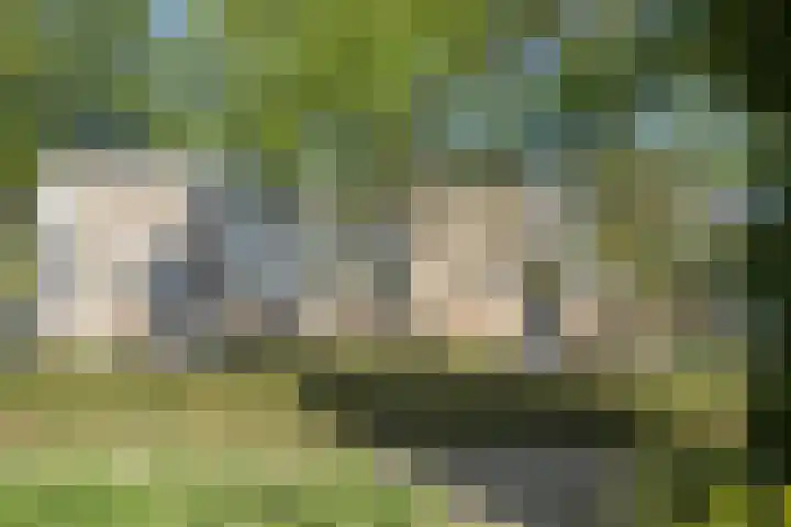 Via Regia 155 C Maastricht thumbnail 18