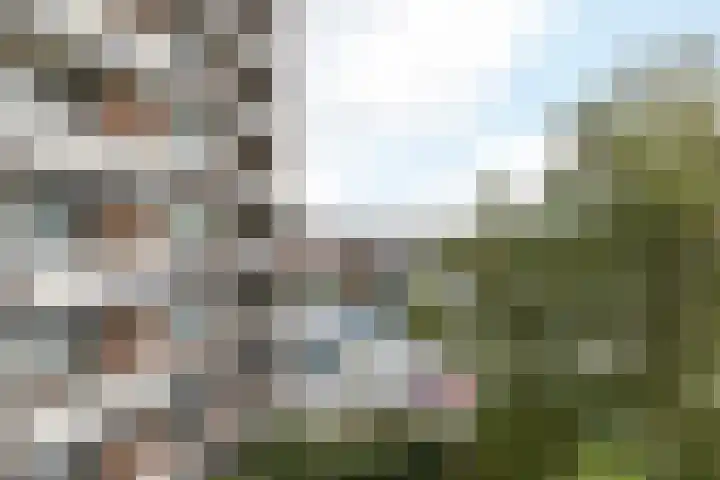 Via Regia 184 R Maastricht thumbnail 20