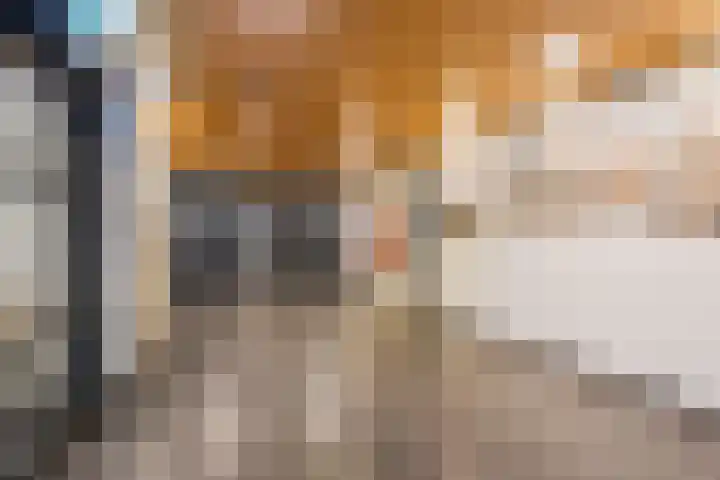 Via Regia 186 D Maastricht thumbnail 6