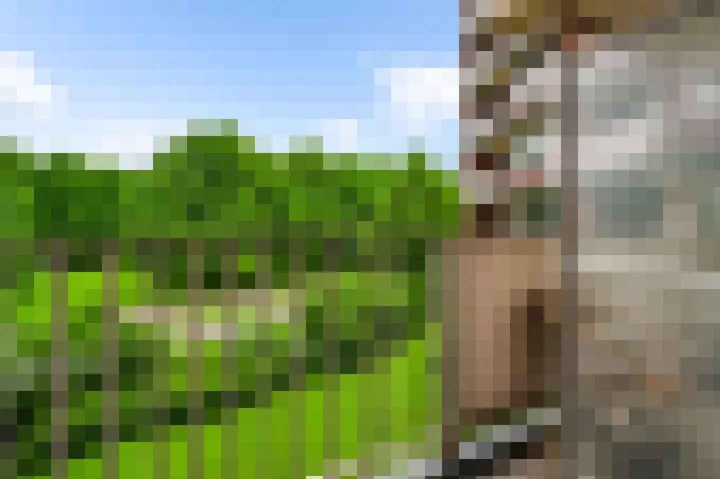 Via Regia 188 K Maastricht thumbnail 18