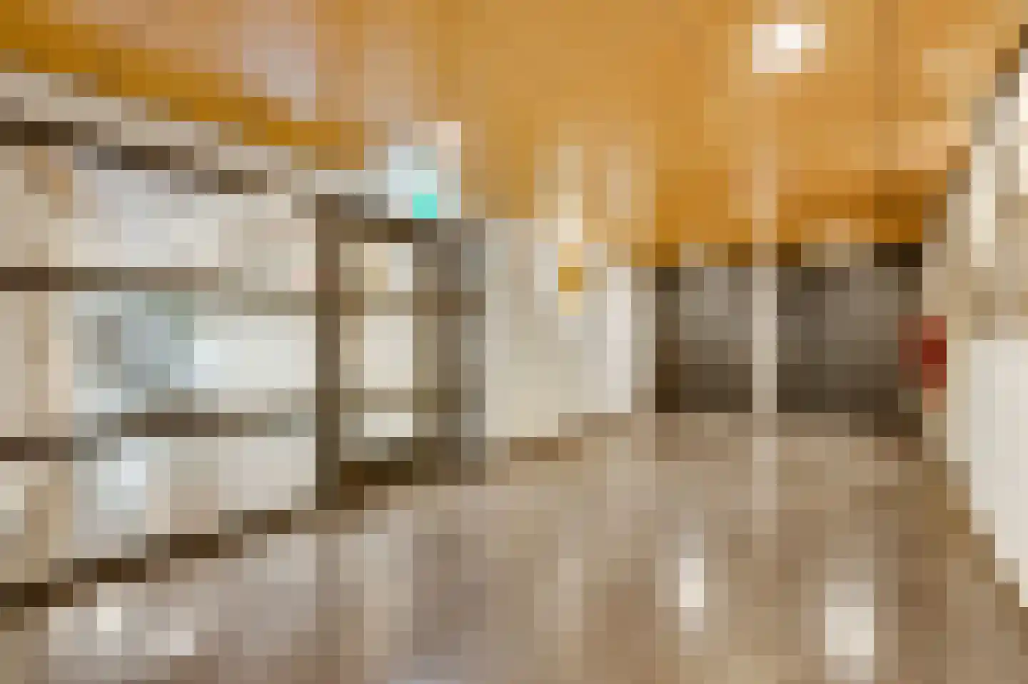 Via Regia 190 B Maastricht thumbnail 4