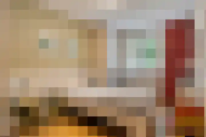 Via Regia 2 B Maastricht thumbnail 15