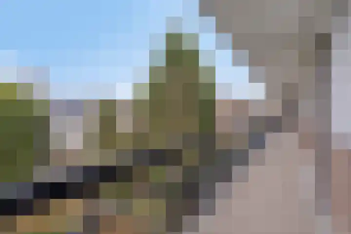Via Regia 30 A Maastricht thumbnail 22