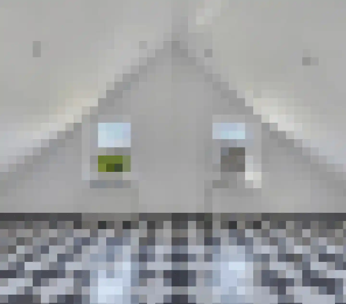 Via Regia 304 Maastricht thumbnail 18