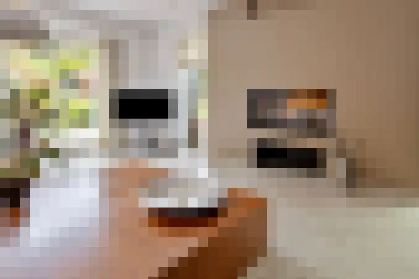 Via Regia 640 Maastricht thumbnail 10