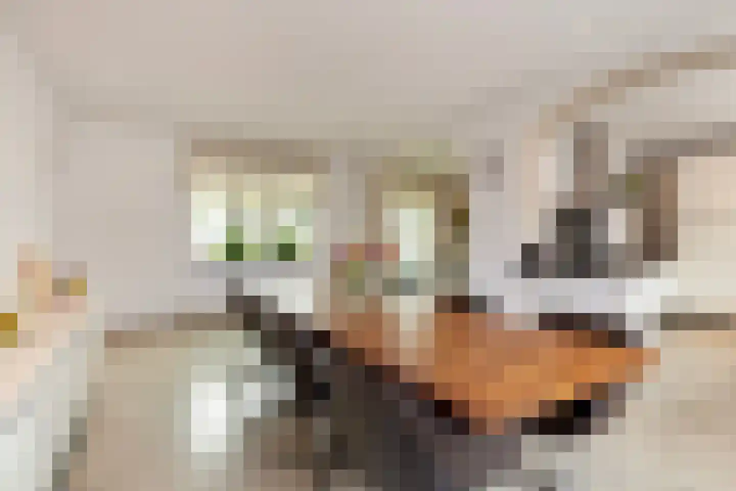 Via Regia 640 Maastricht thumbnail 17