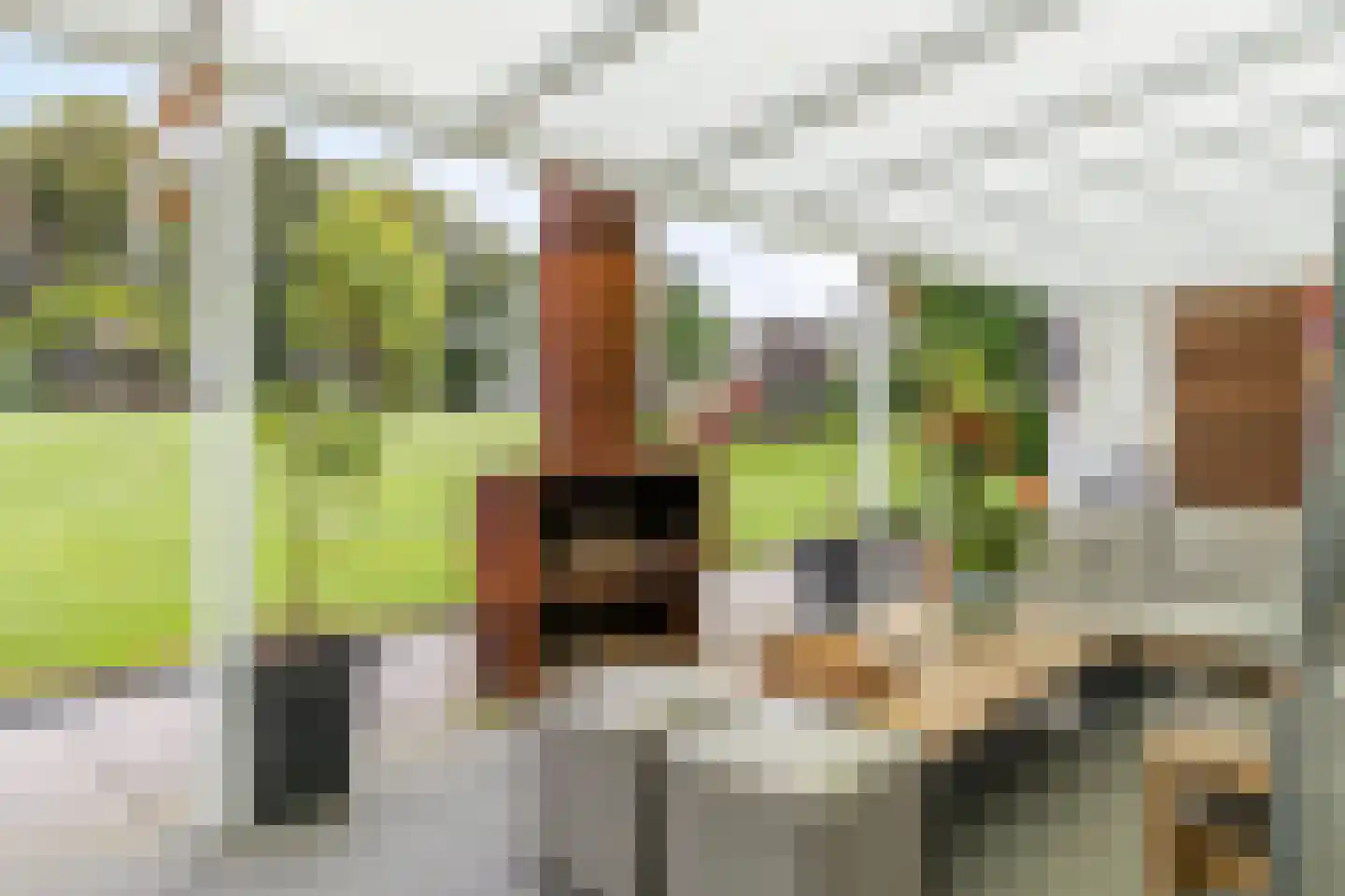 Via Regia 640 Maastricht thumbnail 30