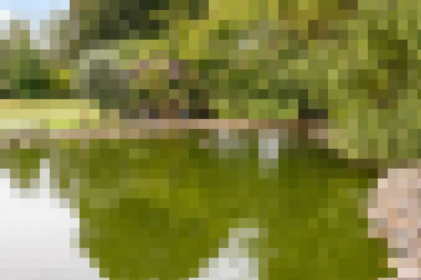 Via Regia 640 Maastricht thumbnail 34