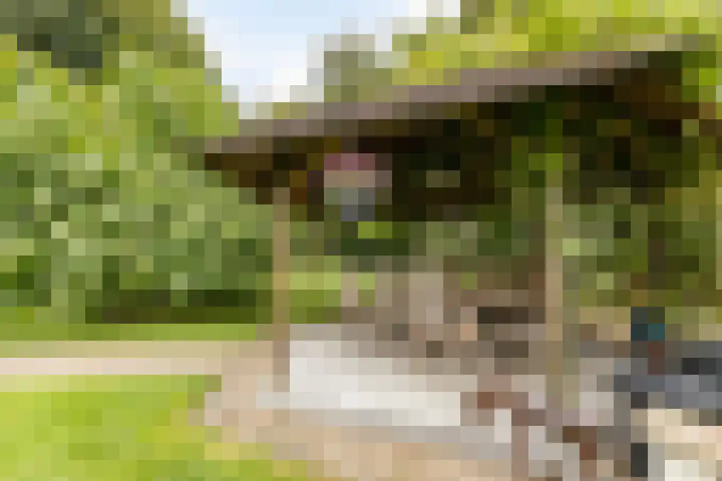Via Regia 640 Maastricht thumbnail 35