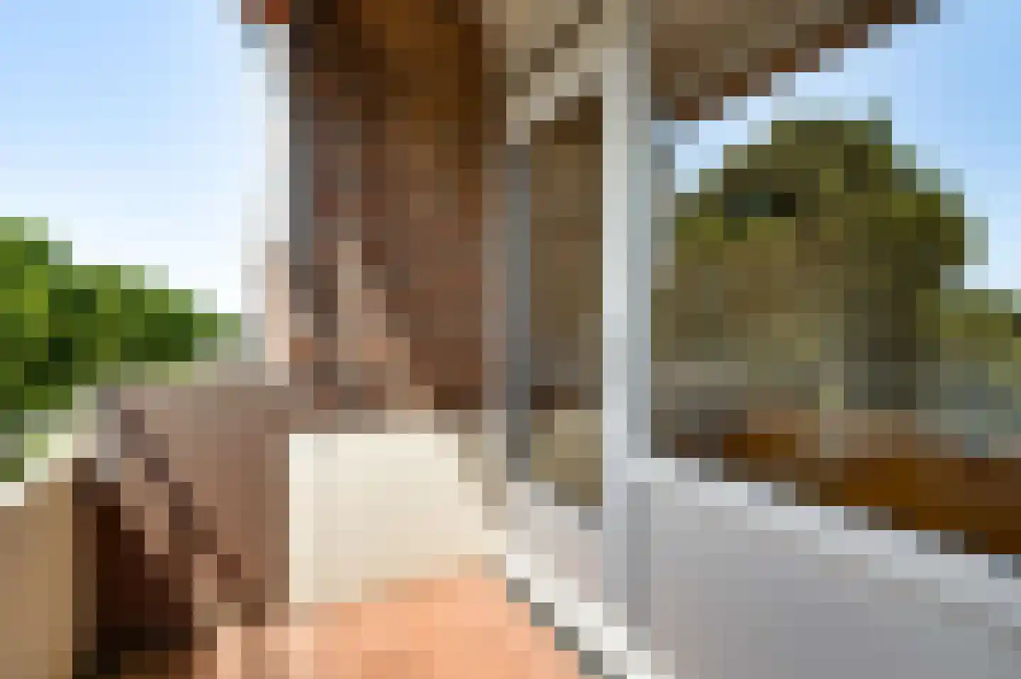 Via Regia 8 D Maastricht thumbnail 17