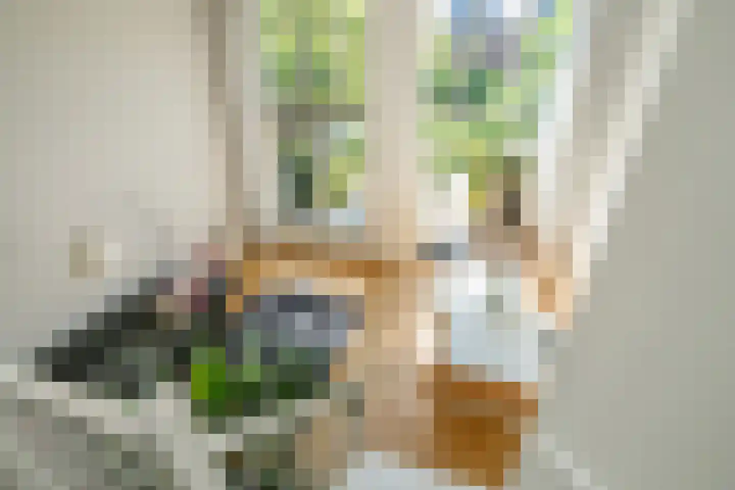 Via Rossini 4 Voorburg thumbnail 15