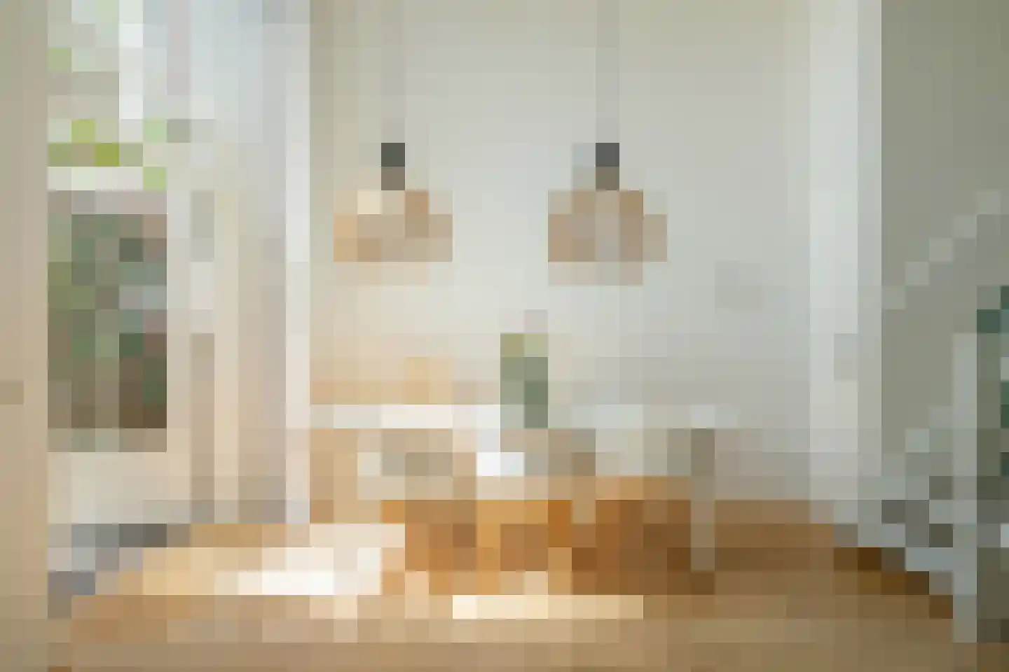 Via Rossini 4 Voorburg thumbnail 18