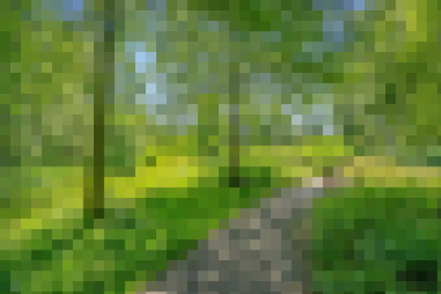 Via Rossini 4 Voorburg thumbnail 44