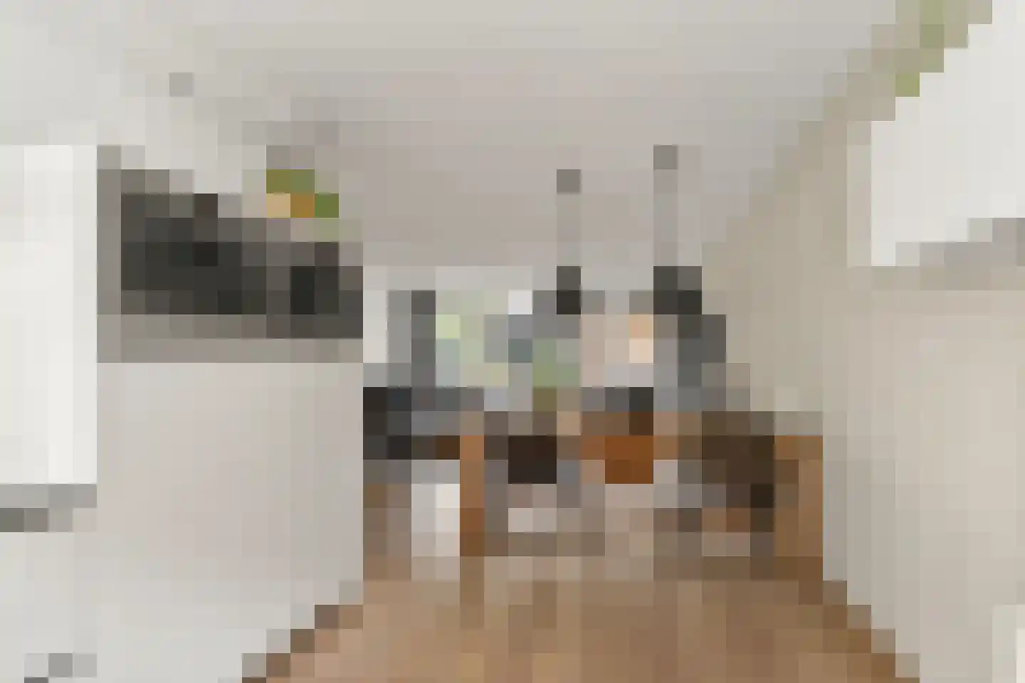 Via Tunica 3 Houten thumbnail 12