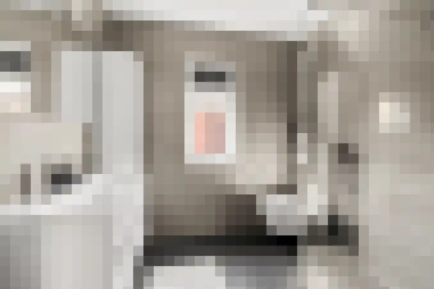 Via Tunica 3 Houten thumbnail 24