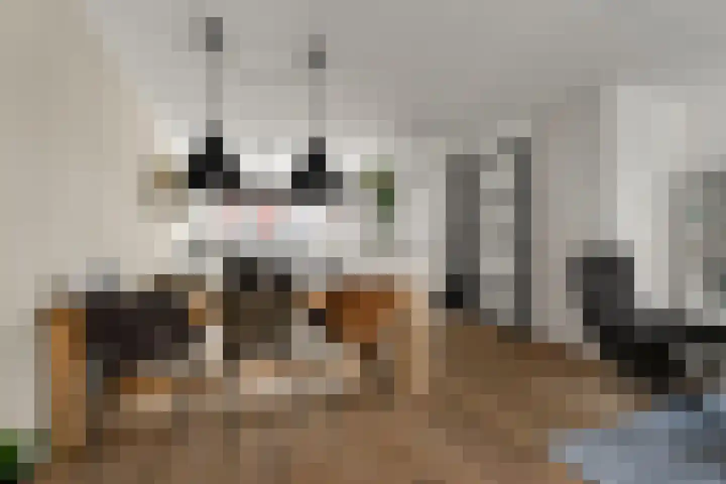 Via Tunica 3 Houten thumbnail 8