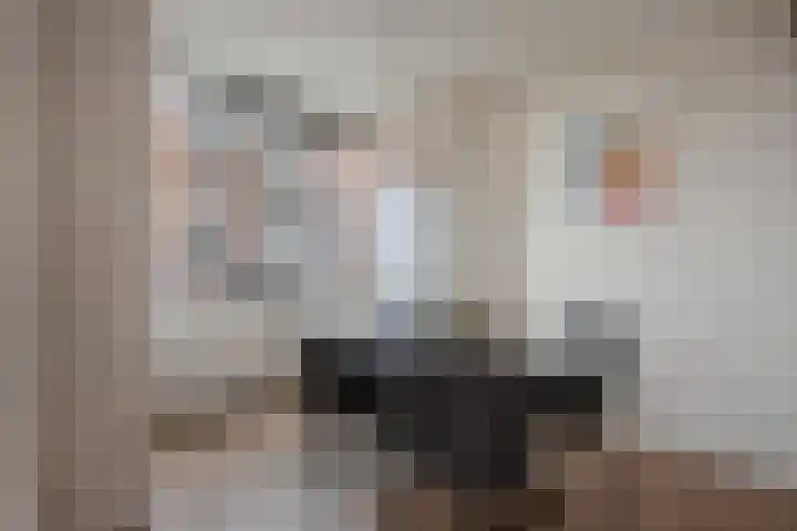 Via Verdi 115 Voorburg thumbnail 21