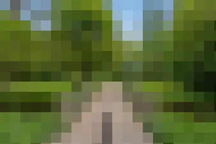 Via Verdi 115 Voorburg thumbnail 30
