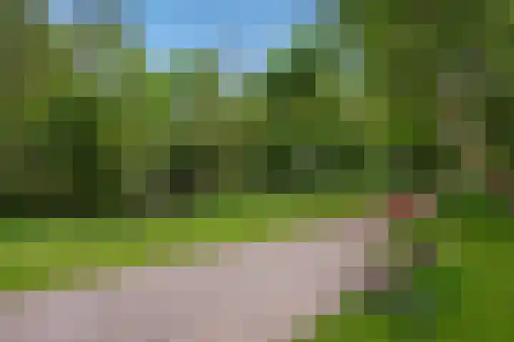 Via Verdi 115 Voorburg thumbnail 31